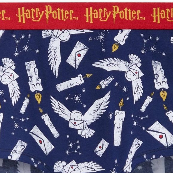 ♥️NWT VINTAGE TORRID PANTY - HARRY POTTER HOGWARTS HEDWIG BOYSHORT - PLUS SIZE - Picture 2 of 8